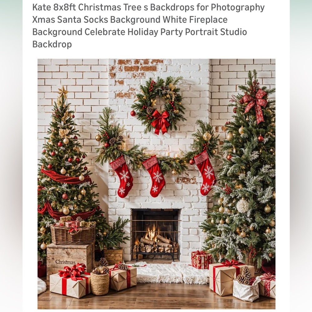 Kate Christmas Backdrop 8x8